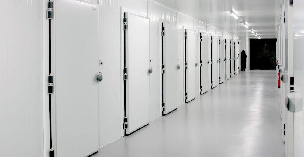 cold-storage-hinged-doors